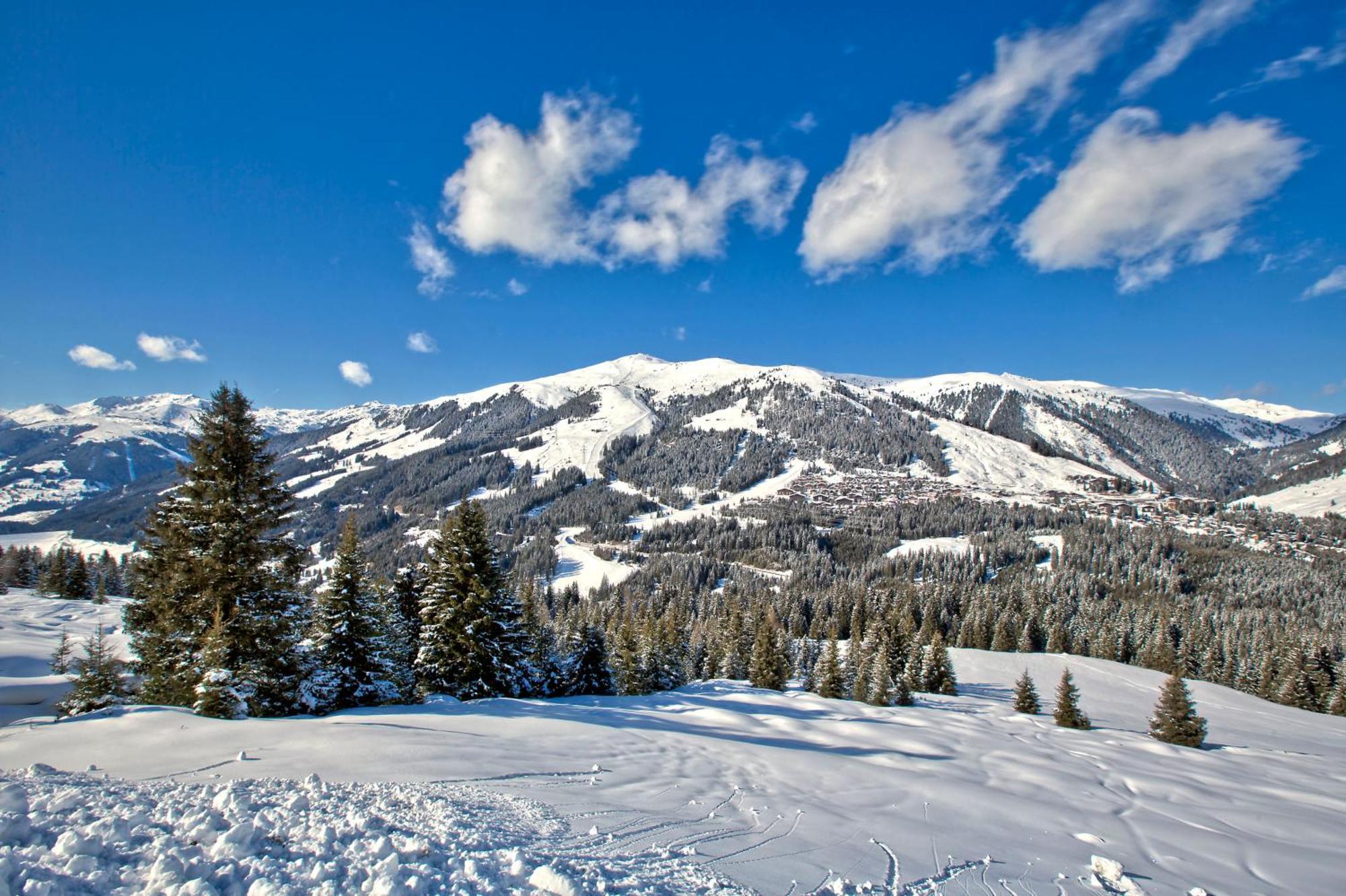 Apartment Bacher Wald im Pinzgau Eksteriør billede